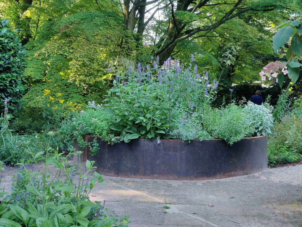 Verhoogde border in bloei